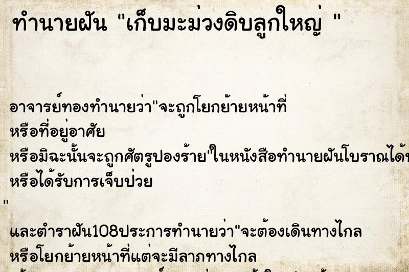 ทำนายฝัน เก็บมะม่วงดิบลูกใหญ่ 